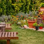 Bed and Breakfast Bellapietra 3*