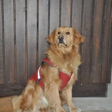 Bed and Breakfast Bellapietra