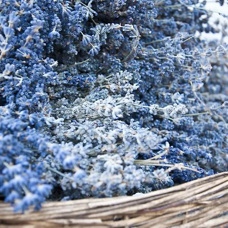 Bellapietra 3* Alaçatı