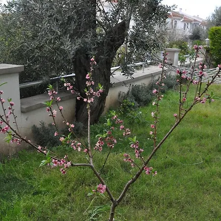 Frühstückspension Bellapietra Alaçatı